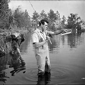 Fotoğraf Paula Prentiss