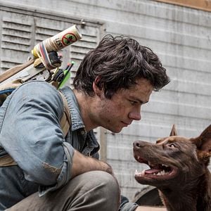 Fotoğraf Aşk ve Canavarlar