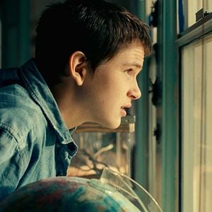 Fotoğraf The Mosquito Coast