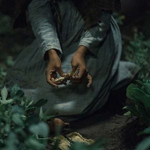 Fotoğraf The Underground Railroad