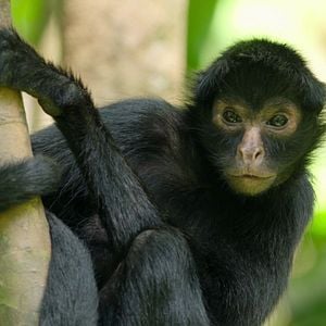 Fotoğraf Gezegenimizin Kritik Eşikleri