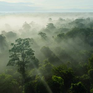Fotoğraf Gezegenimizin Kritik Eşikleri