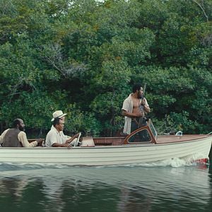 Fotoğraf Trajik Orman