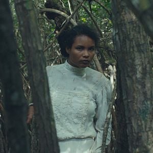 Fotoğraf Trajik Orman