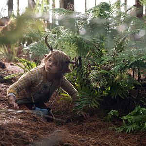 Fotoğraf Sweet Tooth