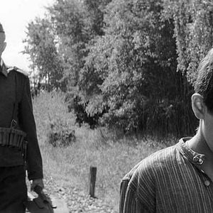 Fotoğraf Boyalı Kuş