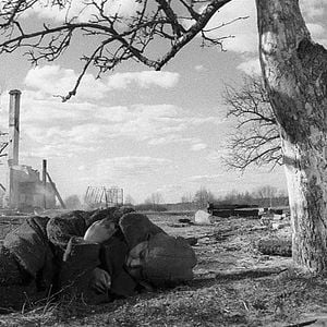 Fotoğraf Boyalı Kuş