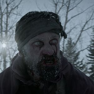 Fotoğraf Black Summer