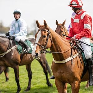 Fotoğraf Dream Horse