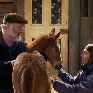 Fotoğraf Dream Horse