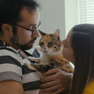 Fotoğraf Cat People