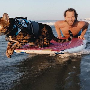 Fotoğraf Cat People