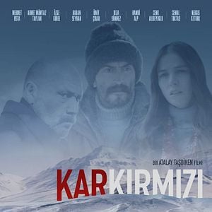 Fotoğraf Kar Kırmızı