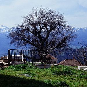 Fotoğraf Marinheiro das Montanhas