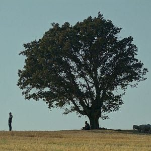 Fotoğraf Bağlılık Hasan