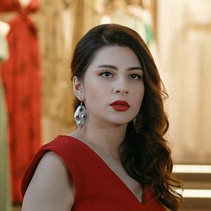 Fotoğraf Aşkın Tarifi