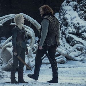 Fotoğraf The Witcher