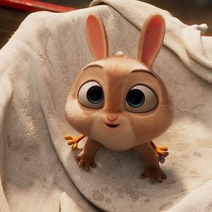 Fotoğraf Hopper ve Çılgın Çetesi Büyük Macera