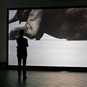 Fotoğraf Ursula Strauss