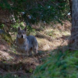 Fotoğraf Doğaya Karşı Mücadele: Neredeyim Ben?