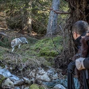Fotoğraf Doğaya Karşı Mücadele: Neredeyim Ben?