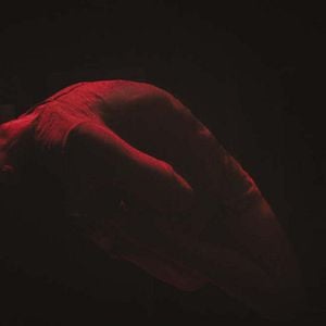 Fotoğraf The Night House