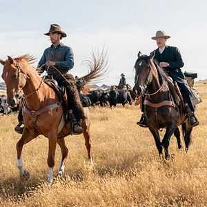 Fotoğraf The Power of the Dog