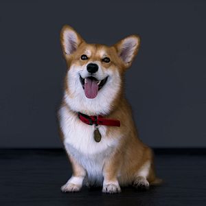 Fotoğraf Cowboy Bebop (2021)