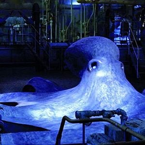 Fotoğraf Aquarium of the Dead