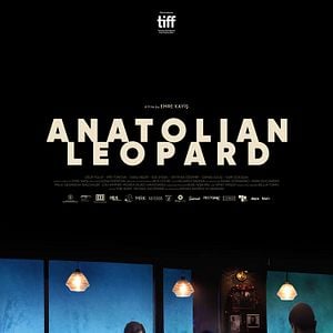 Fotoğraf Anadolu Leoparı