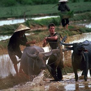 Fotoğraf Michael J. Fox