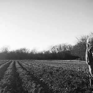 Fotoğraf El perro que no calla