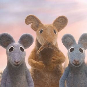 Fotoğraf Robin Robin