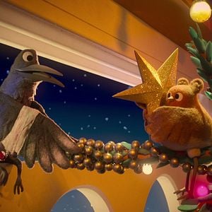 Fotoğraf Robin Robin