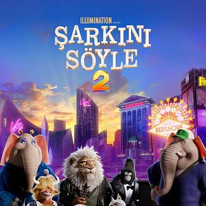 Fotoğraf Şarkını Söyle 2