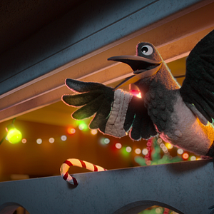 Fotoğraf Robin Robin