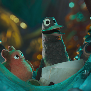 Fotoğraf Robin Robin