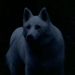 Fotoğraf El Gran Movimiento