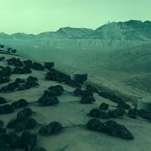 Fotoğraf Kuang shu lie che