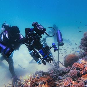 Fotoğraf Baloncuk: Resifin Mucizeleri