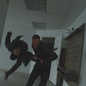 Fotoğraf American Badger