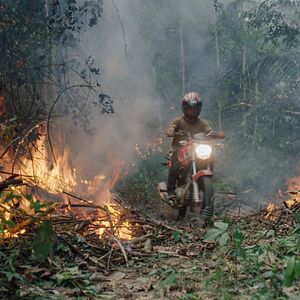 Fotoğraf The Territory