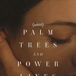 Fotoğraf Palm Trees and Power Lines