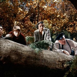 Fotoğraf The Trouble with Harry