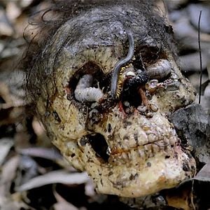 Fotoğraf Cannibal Holocaust