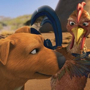 Fotoğraf Kahraman Köpek Jock