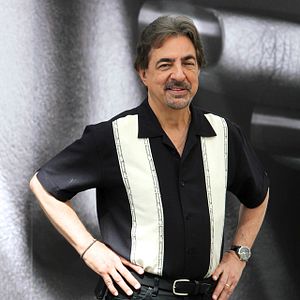 Fotoğraf Joe Mantegna