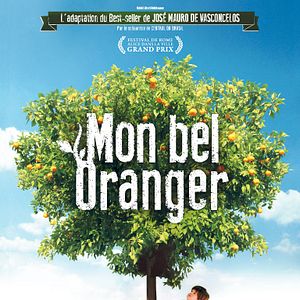 Fotoğraf Şeker Portakalı