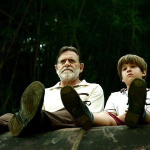 Fotoğraf Şeker Portakalı