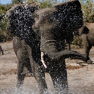 Fotoğraf Safari Macerası
